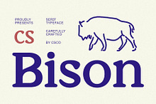 CS Bison – Retro Font