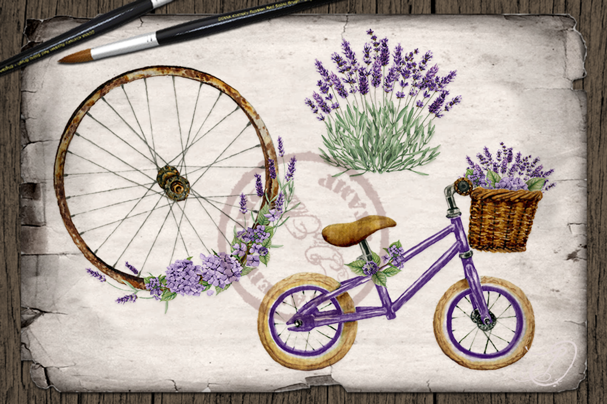 Lavender Ride Bicycle Illustration, a Decorative Illustration by DioFlow (Photo 4 of 5)