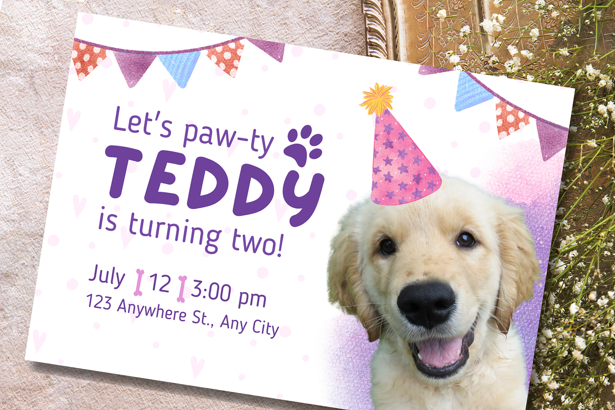 Let's Paw-ty Pet Birthday Invitation, a Design Template by TemplateCastleStore (Photo 2 of 9)