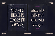 TT Montero Serif Condensed, a Serif Font by truetype (Thumbnail 5 of 15)