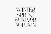 SALE! Type Maestro -  serif font, a Serif Font by VP Fonts (Thumbnail 6 of 25)