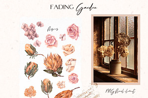 Fading Garden. Dried Collection