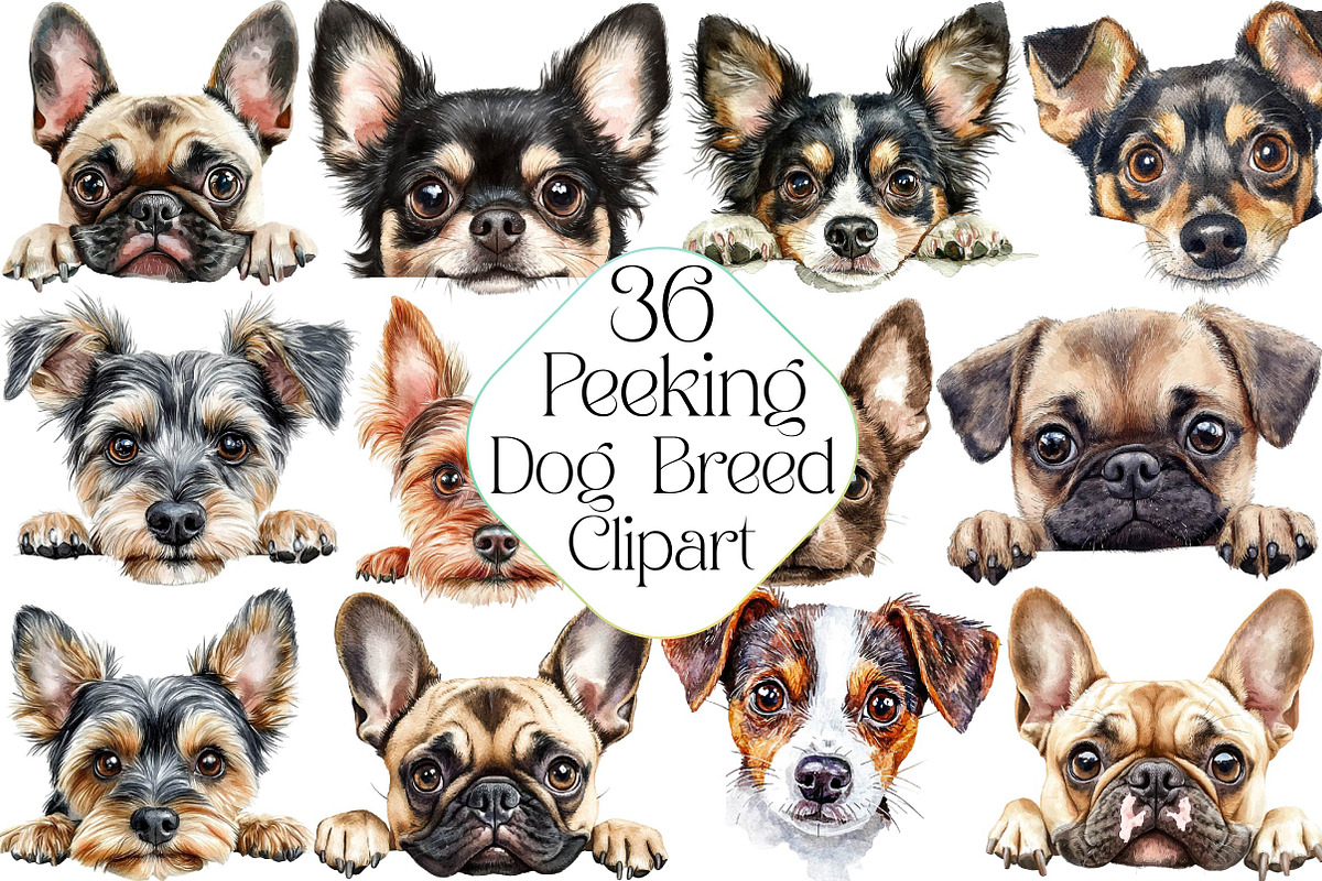 Peeking Dog Breed Clipart, an Illustration by DreamPrint404 (Photo 1 of 6)