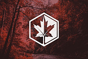 Maple Leaf Logo, a Branding & Logo Template by M. E. Smith Design (Thumbnail 1 of 5)
