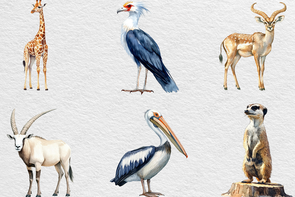 Wild Animals Of Africa PNG, an Illustration by Black Bird Studio (Photo 4 of 6)