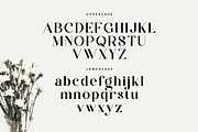 Zalerin || Modern Serif Typeface, a Serif Font by Idea Studio (Thumbnail 11 of 12)