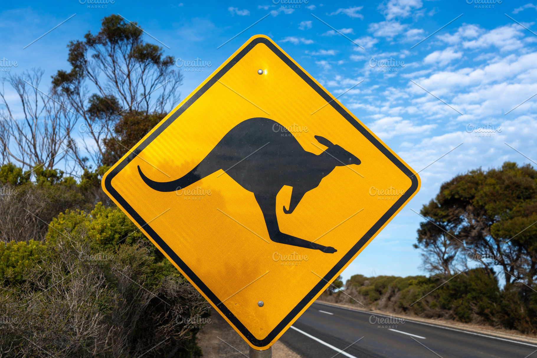 Kangaroo crossing warning sign along a rural road, Australia, an Animal Photo by GoodGoods