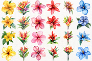 Tropical Summer Party Clipart PNG, a Seasonal Illustration by SugarCloudStudioArt (Thumbnail 2 of 6)