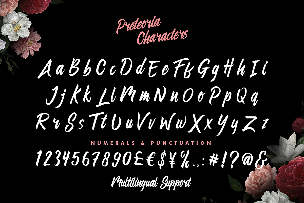 Preteoria Script, a Script Font by edukka (Photo 2 of 10)