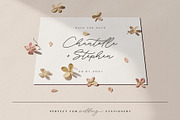 Chantelle | Handwritten Script Font, a Handwritten Font by Monterey Studio (Thumbnail 2 of 8)