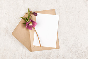 Envelope with flowers featuring hellebore, envelope, and flat
