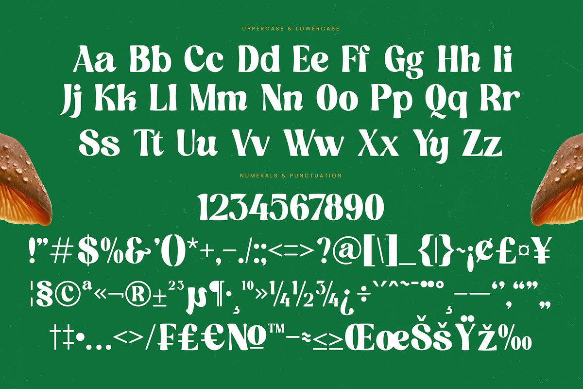 Nothing Magic Retro Groovy Serif, a Serif Font by timelesstype.co (Photo 18 of 20)
