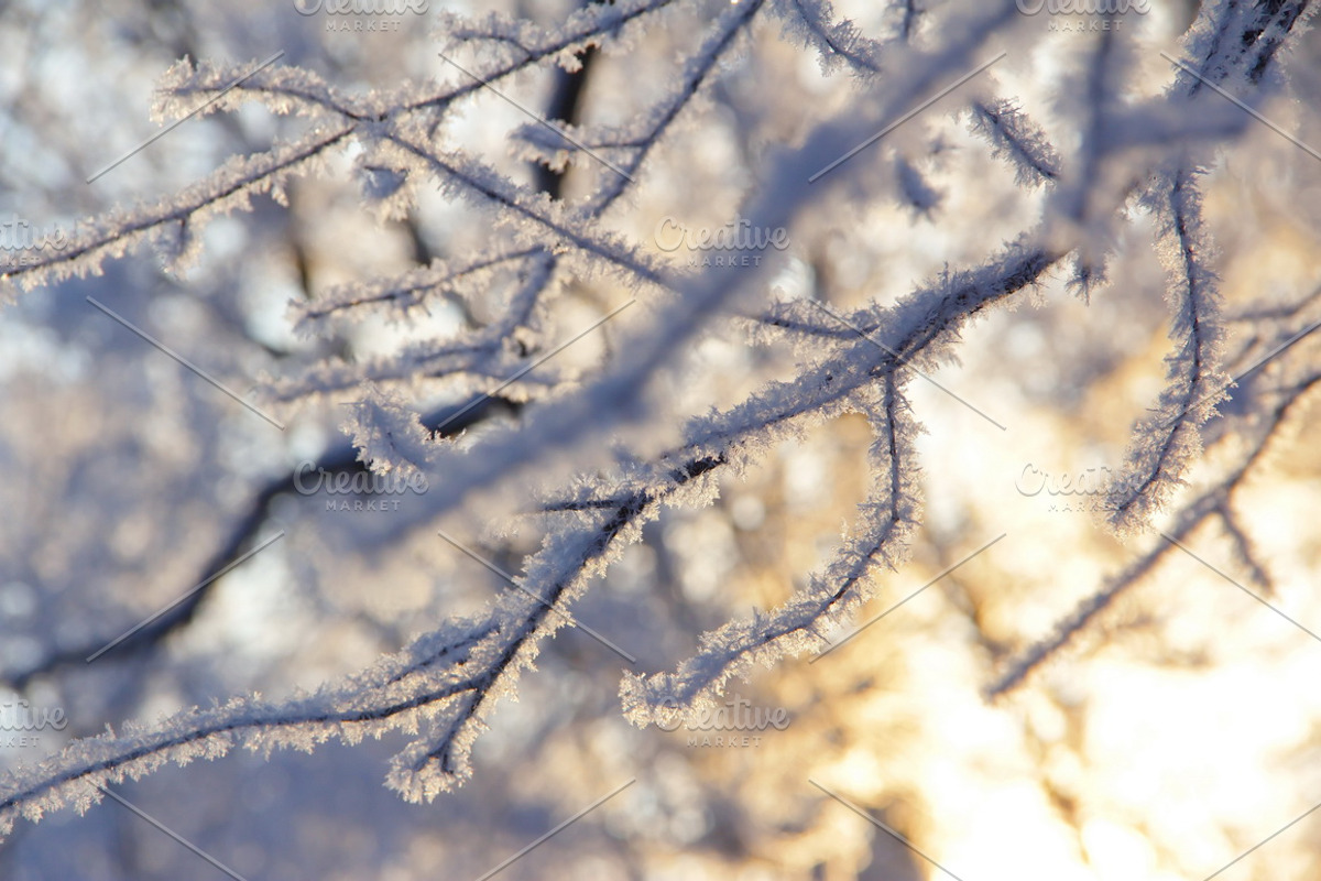 Cosy winter. Bundle of 14 images., a Background Photo by lisa870 (Photo 5 of 17)