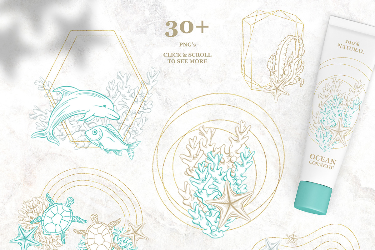 Golden Seashells Collection, an Object Graphic by ilonitta (Photo 6 of 19)