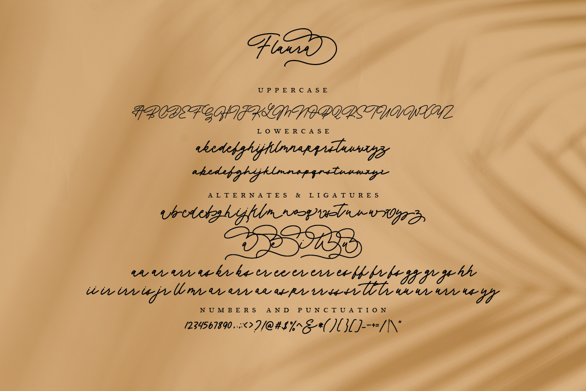 Flaura - A Modern Monoline Script, a Script Font by Megi Satyo Widodo (Photo 11 of 12)