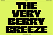 BN Giant, a Sans Serif Font by Bnick (Thumbnail 15 of 19)
