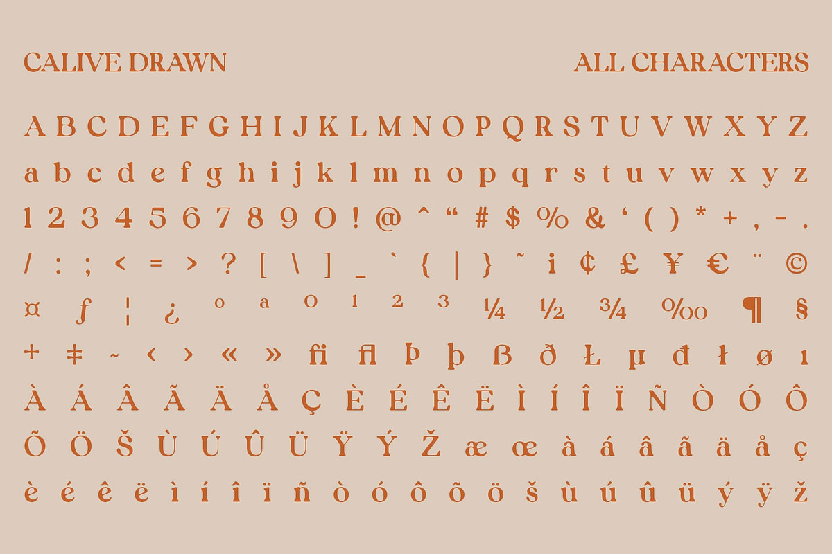 Calive Drawn, a Serif Font by Craft Supply Co. (Photo 8 of 8)