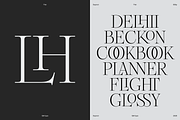 Dupioni Thin - Ligature Serif, a Serif Font by Silktype (Thumbnail 8 of 20)