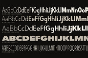 Bookable Sans Collection, a Sans Serif Font by Stiggy & Sands (Thumbnail 7 of 12)