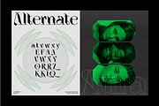 ELGISTA, a Serif Font by Bagerich Type Foundry (Thumbnail 8 of 13)