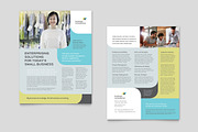 Business Consultant Datasheet, a Flyer Template by StockLayouts (Thumbnail 4 of 5)