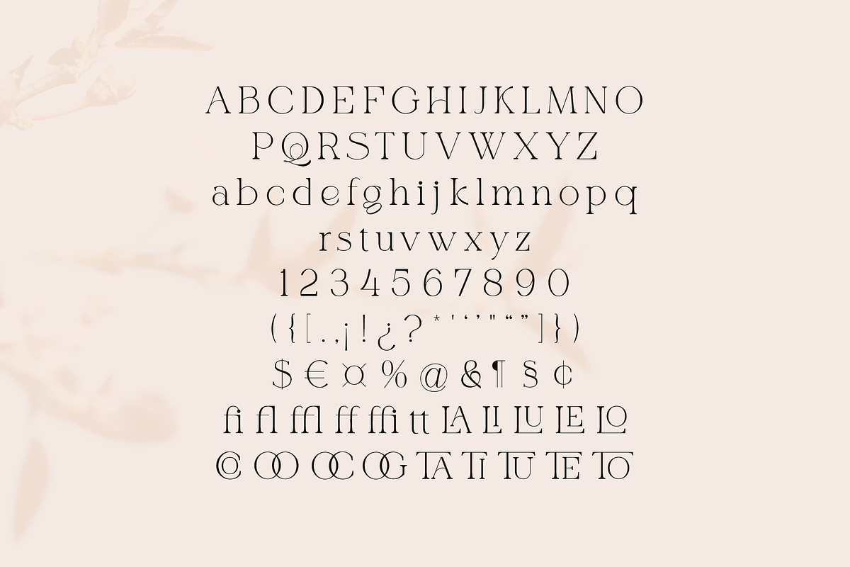 Fortune Happiest - Script Serif Duo, a Script Font by Letteratom (Photo 12 of 12)