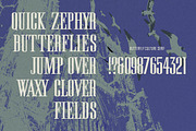 Butterfly Culture - Script & Serif, a Handwritten Font by The Branded Quotes (Thumbnail 7 of 8)
