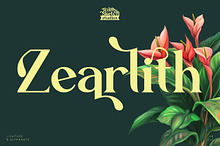Zearlith - Modern Serif Font
