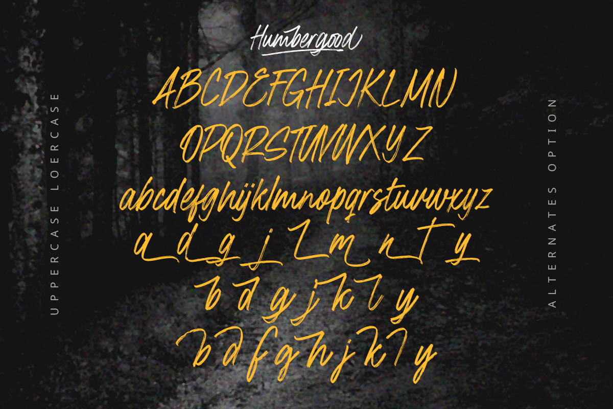 HumberGood, a Script Font by Zelda Graphic (Photo 3 of 6)
