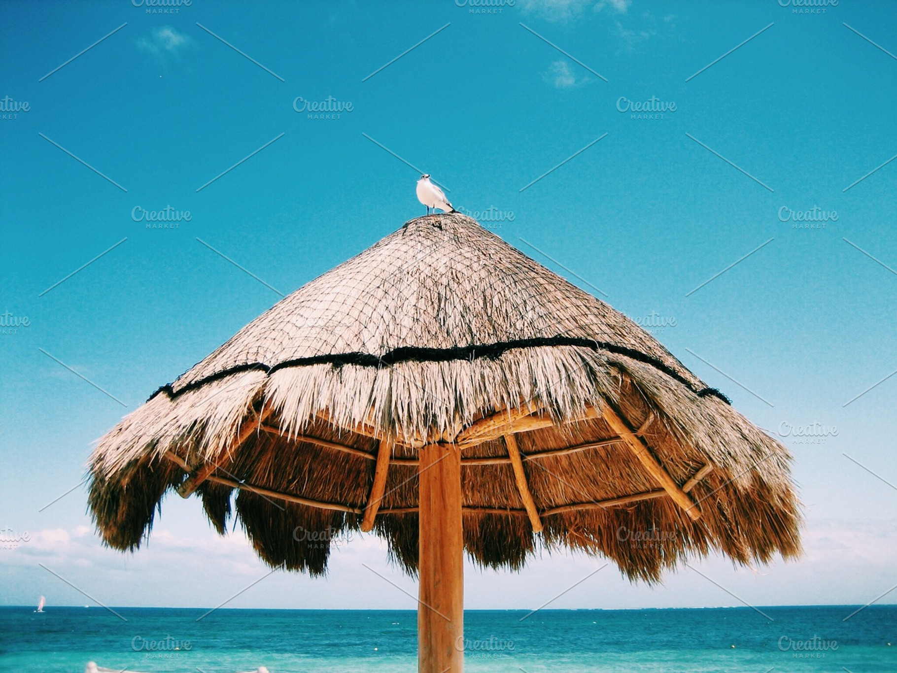 Tropical Beach Vacation