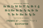 Borgona - Classic Serif Font, a Serif Font by overlaytemplates (Thumbnail 4 of 5)