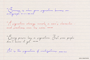 Aesallyn | Classic Signature Font, a Script Font by Denustudios (Thumbnail 6 of 13)