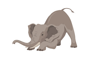 Flat vector elephant in poses, an Animal Illustration by the8monkey