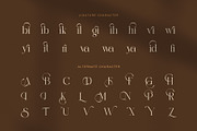 Amida Elegant Display Serif Font, a Serif Font by Graphicxell (Thumbnail 8 of 8)