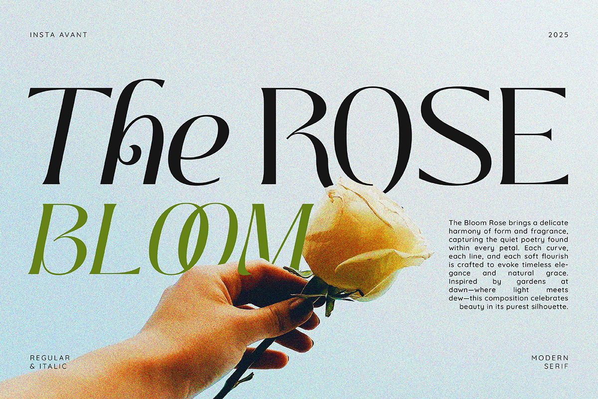 Insta Avant | Ligature Elegant Serif, a Serif Font by ClevUs (Photo 2 of 12)