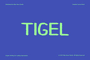 Tigel - Organic Handcrafted Typeface, a Handwritten Font by Nian Keun Studio (Thumbnail 1 of 11)