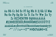 CS Miguela Drawn, a Serif Font by Craft Supply Co. (Thumbnail 8 of 8)