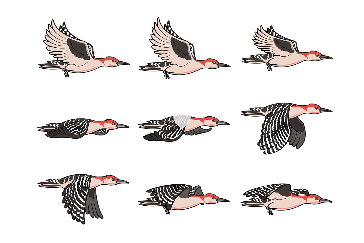 Flying Woodpecker Animation Sprite, a Social Media Template by Silpin