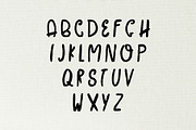 Ceica Handwritten Duo Font + Bonus, a Script Font by Creativetacos (Thumbnail 3 of 6)