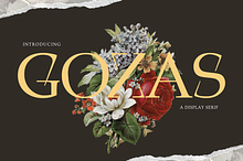 Gozas - Branding Logo Font