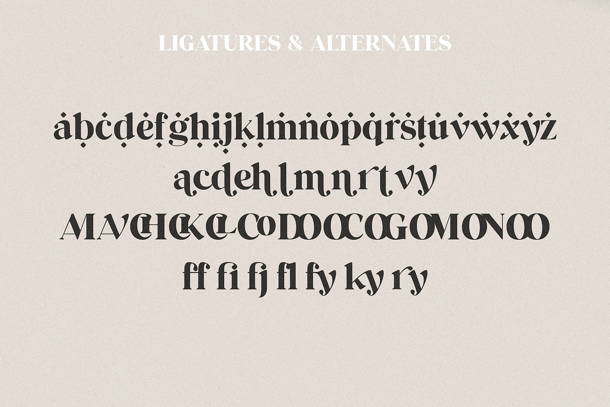 UPDATE: Rylan Modern Serif + Extras, a Serif Font by Jen Wagner Co (Photo 10 of 18)