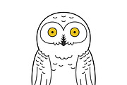 16x Arctic and Antarctic Animals, an Animal Illustration by asantosg (Thumbnail 4 of 8)