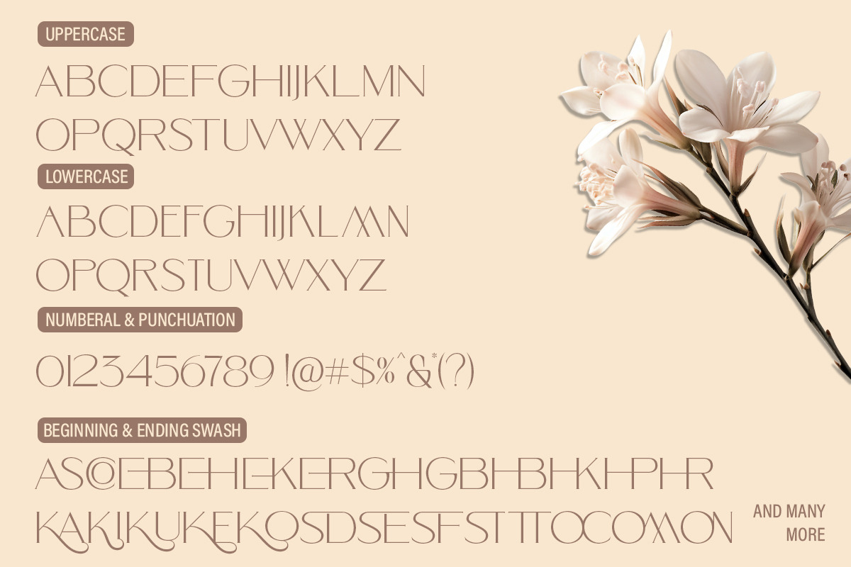 Skypiea Romantic Signature font Duo, a Serif Font by Romiecreative (Photo 12 of 12)