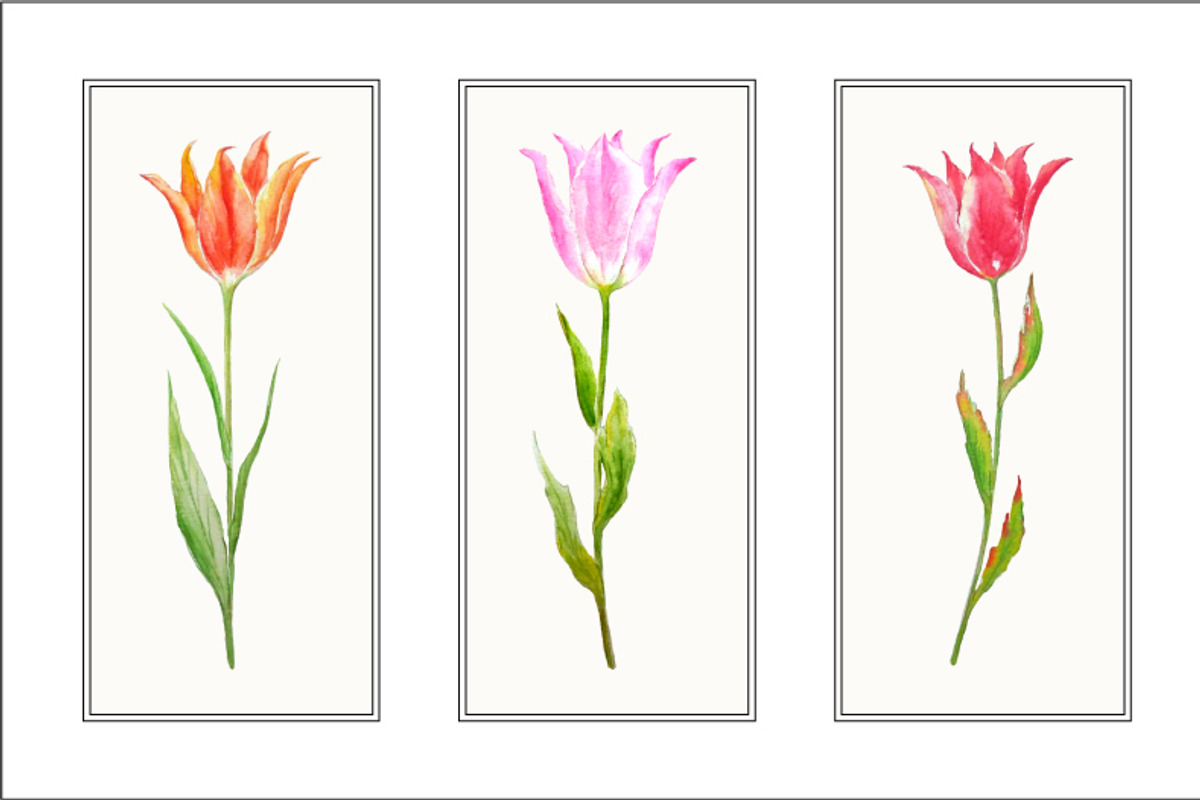 Watercolour Tulip Spring Flowers preview 2