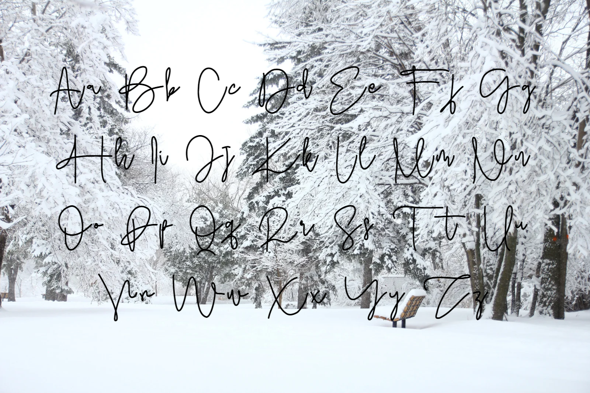 Sung-Jin font, a Script Font by TNE Designs (Photo 2 of 5)