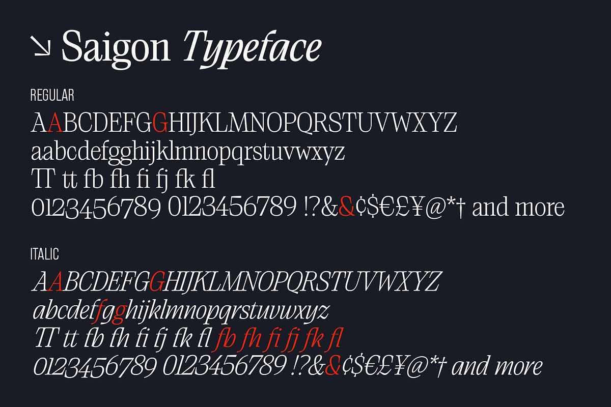 Saigon - Editorial Serif Typeface, a Serif Font by The Paper Town (Photo 16 of 16)