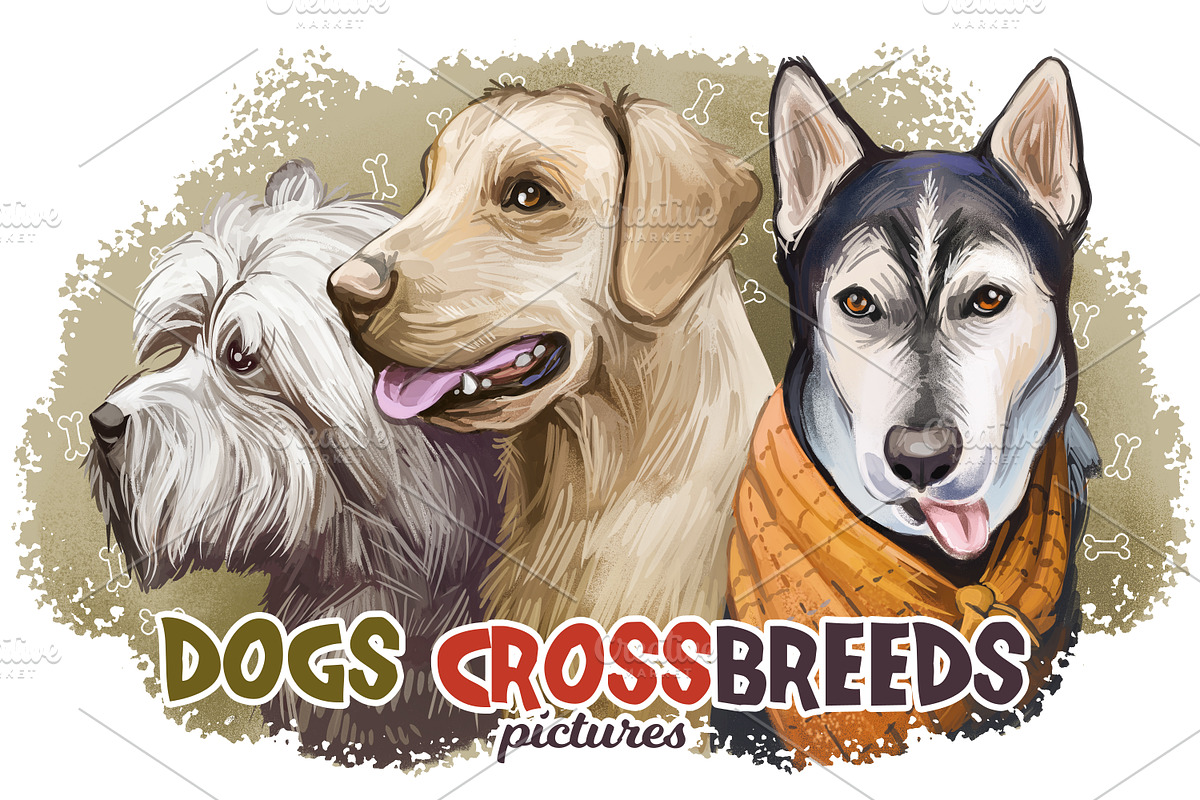 Dogs Cross Breeds 56 Animals Bundle, an Animal Illustration by Dneprstock (Photo 1 of 55)