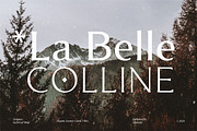 Montier Elegant Display, a Sans Serif Font by Glowtype (Thumbnail 7 of 15)