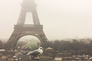 7 romantic photos of Paris, an Architecture Photo by Andrew's studio (Thumbnail 5 of 8)