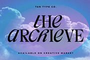 TAN - ARCHIEVE, a Serif Font by TanType (Thumbnail 1 of 11)